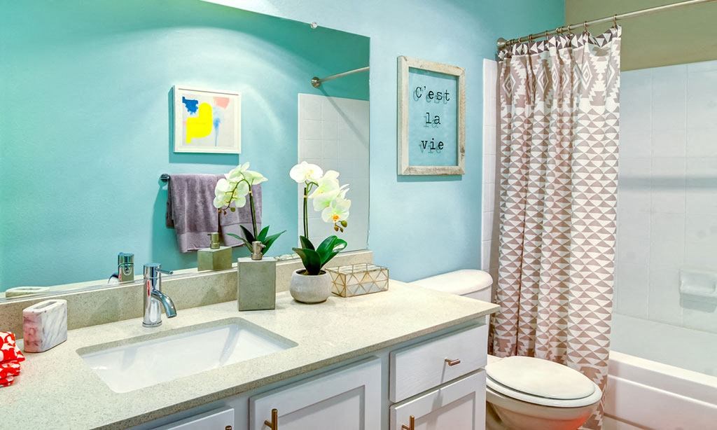 a bathroom with a sink and a toilet and a shower