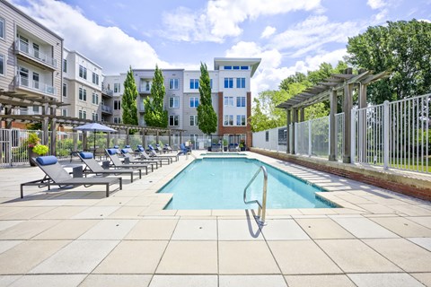 A swimming pool surrounded by sun loungers and trees.