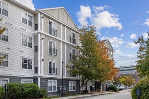 A row of apartment buildings with trees in front.