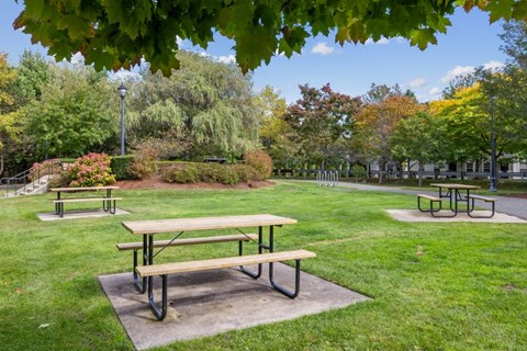 Picnic tables are set up in a park with green grass.