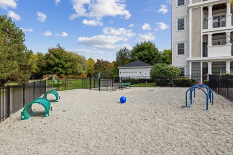 A playground with a blue ball and a slide.