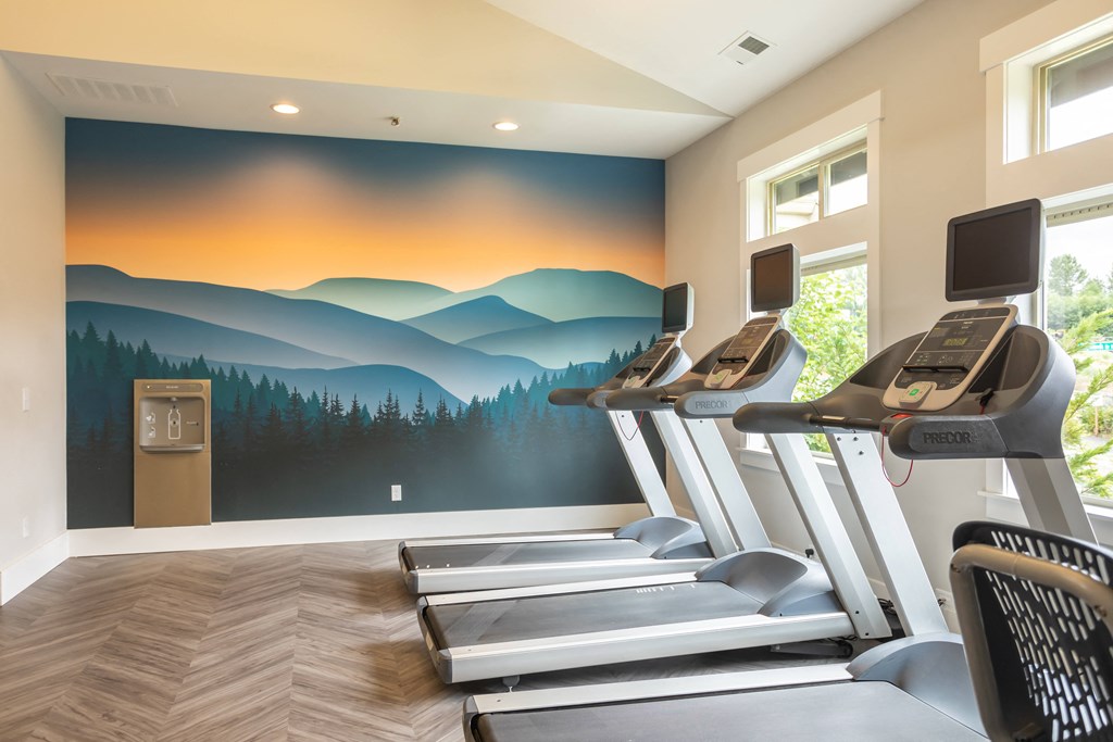 a fitness room with treadmills and a mural of mountains on the wall
