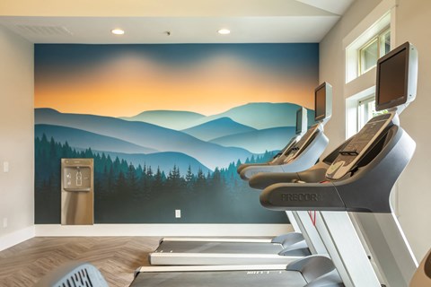 a fitness room with treadmills and a mountain mural on the wall