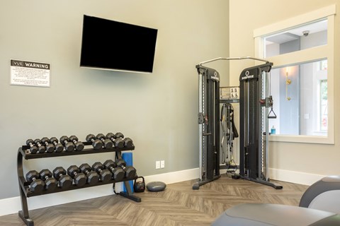a gym with weights and a tv on the wall