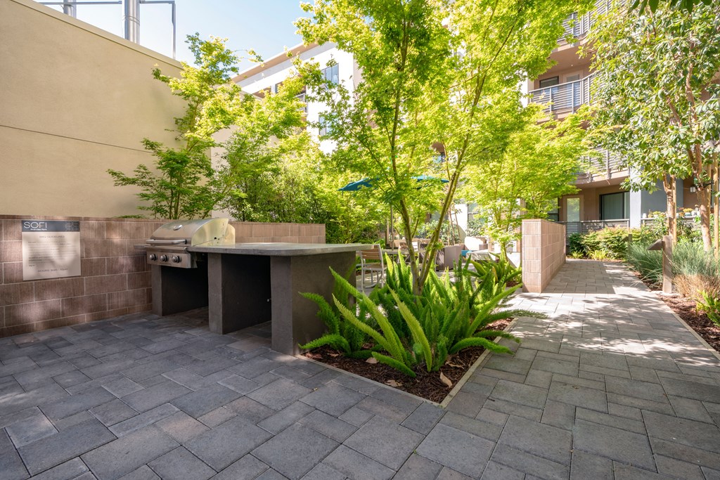 a patio with a grill and a tree in a courtyard