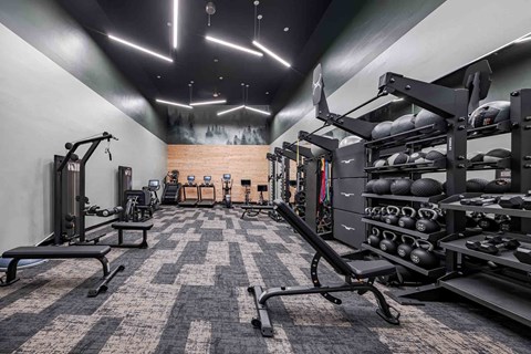 A gym with a variety of equipment including weights and benches.