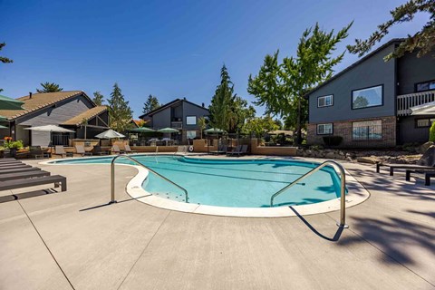 A small residential pool surrounded by a concrete patio and houses.