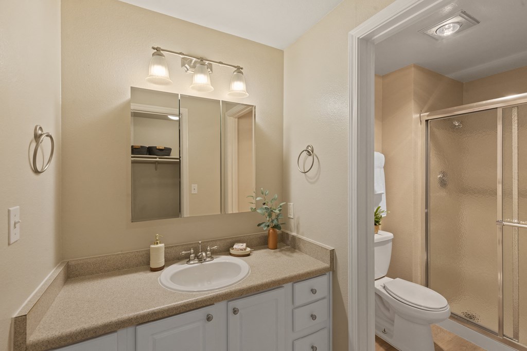 a bathroom with a sink and a shower and a toilet