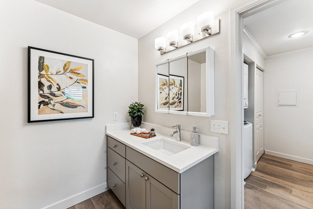 a bathroom with a sink and a mirror