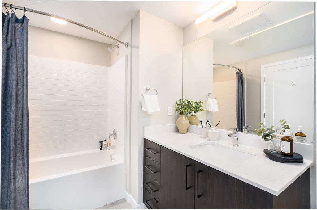 a bathroom with a sink and a shower and a mirror