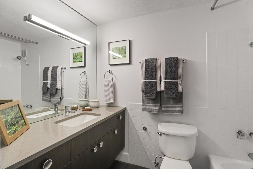 a bathroom with a toilet and a sink and a mirror