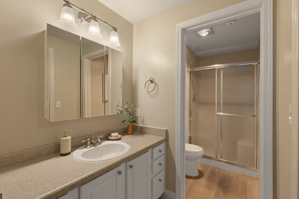 a bathroom with a sink and a shower and a mirror