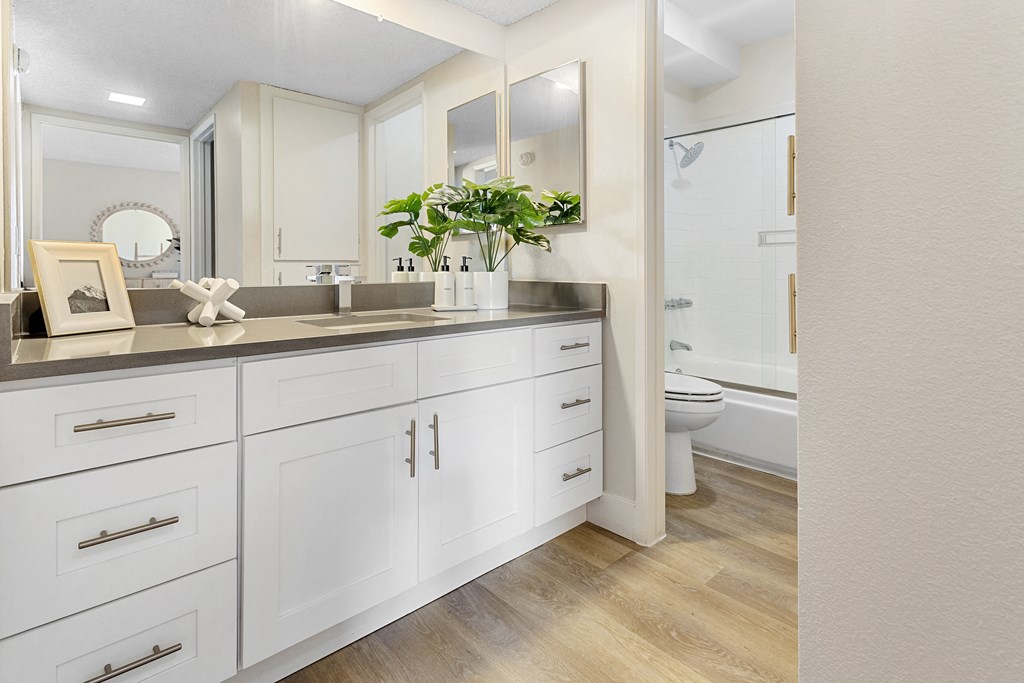 a bathroom with white cabinets and a sink and a toilet