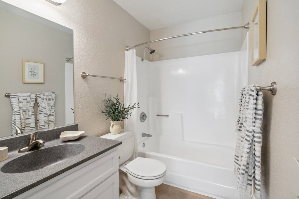 a bathroom with a sink and a toilet and a shower