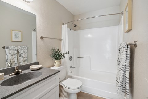 a bathroom with a sink and a toilet and a shower