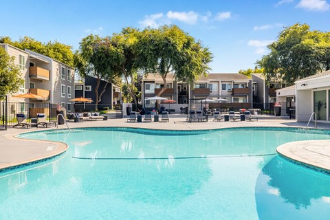 A swimming pool in a sunny outdoor setting.