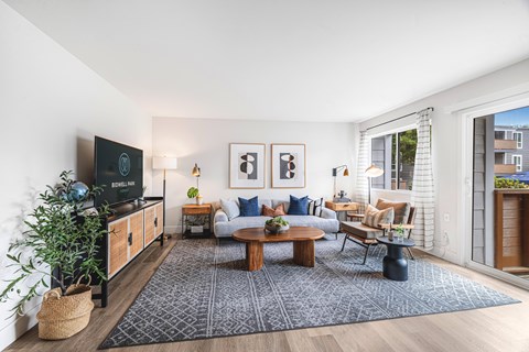 A living room with a television, sofas, and a rug.