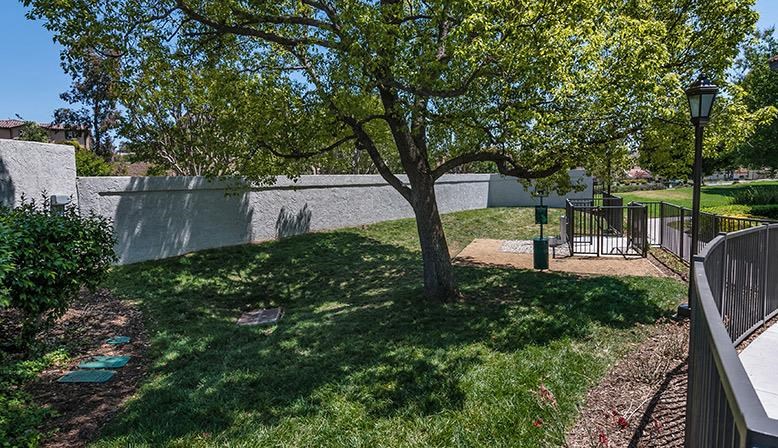 a yard with a tree and a fence