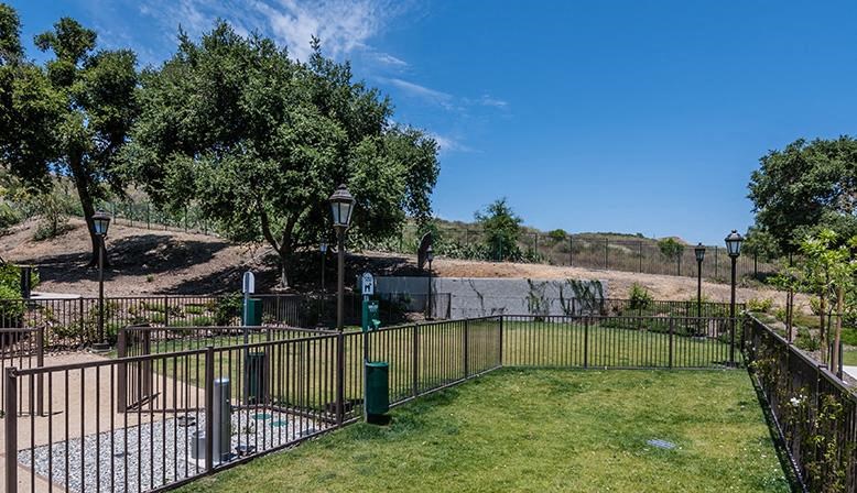 a park with a fence and a pond