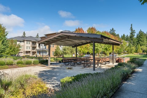 a picnic area with benches and tables in a park