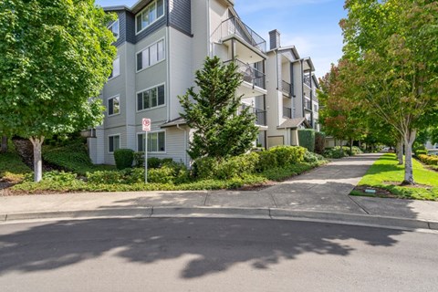 A street view of a residential area with apartment buildings and trees.