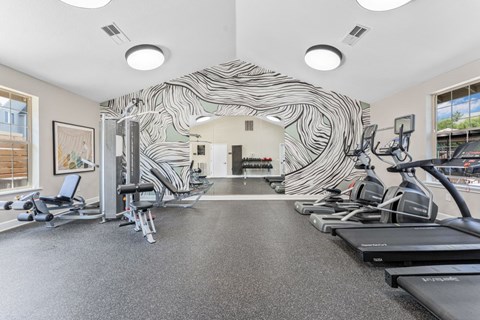A gym with treadmills and exercise equipment.