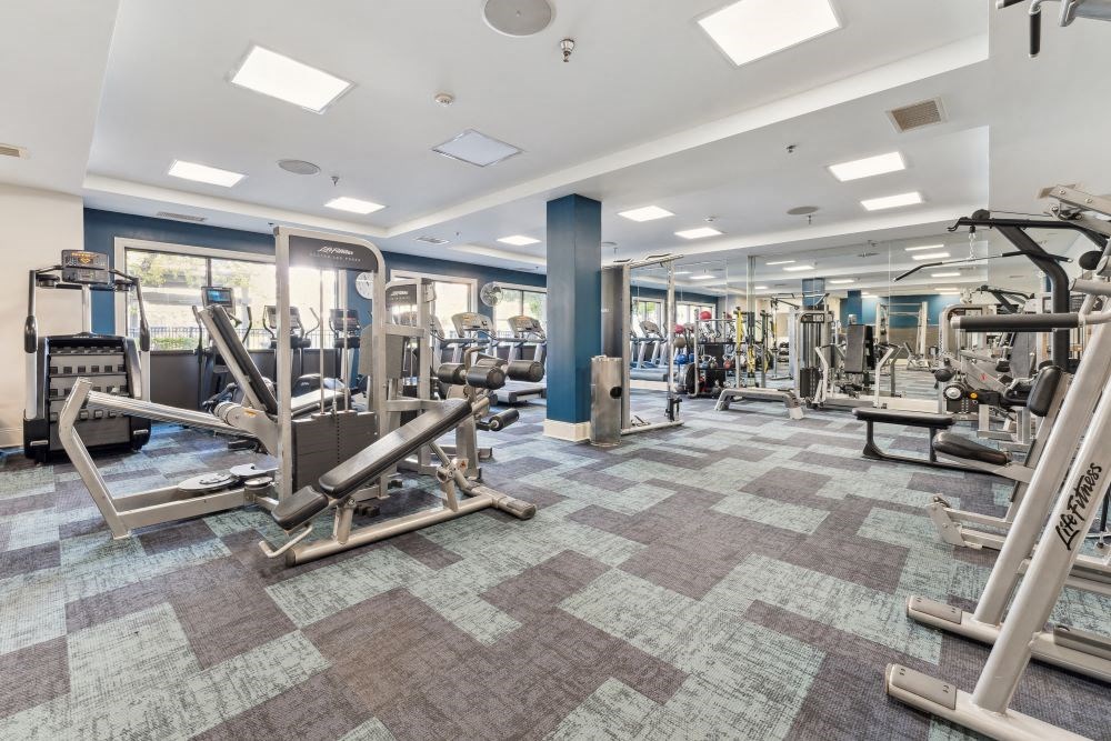a gym with weights and cardio equipment in a building