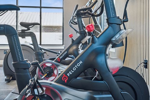 a row of bikes are lined up in a gym