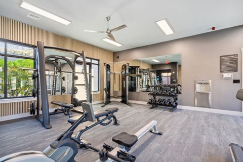 a gym with weights and other exercise equipment in a building