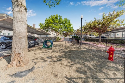A playground with a red fire hydrant and a green slide.