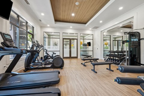 the gym is equipped with cardio equipment and weights