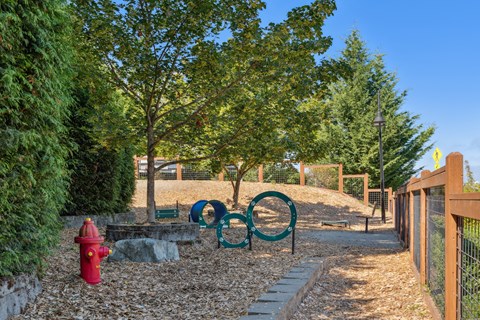 a park with a red fire hydrant and a playground