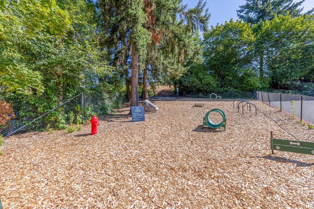 a park with a red fire hydrant and a playground