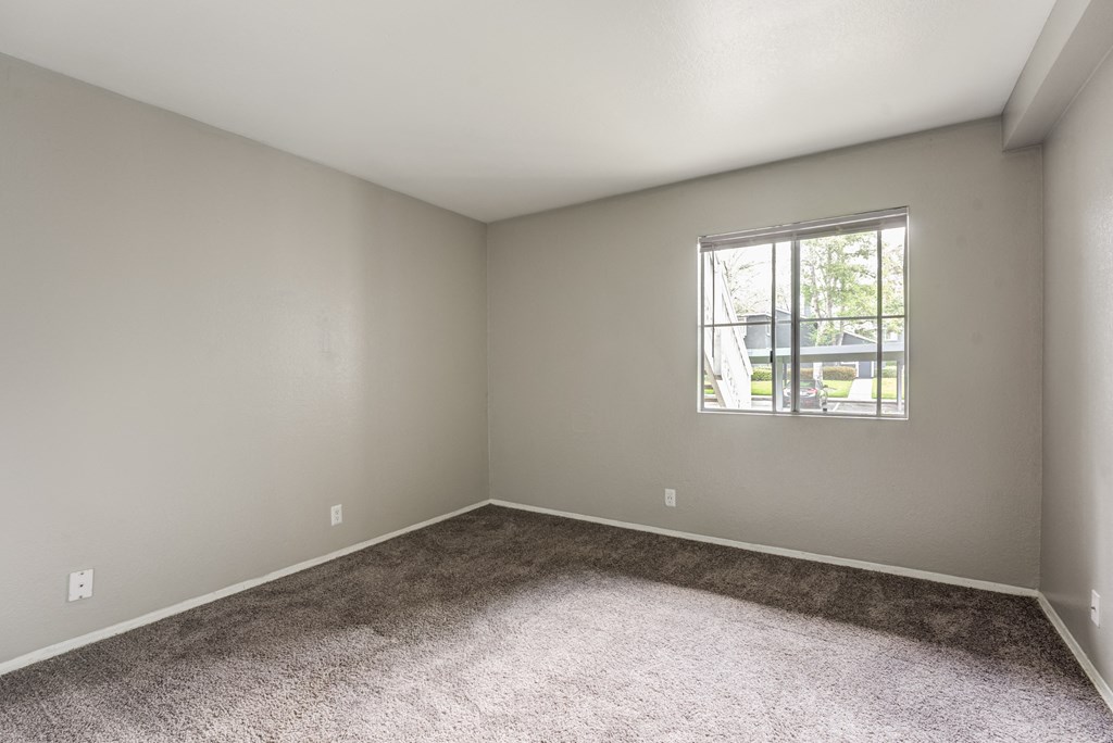an empty room with carpet and a window
