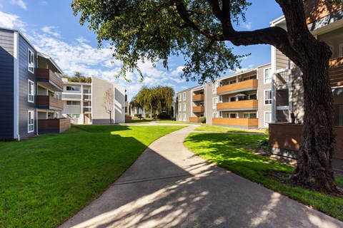 Bidwell Park Fremont