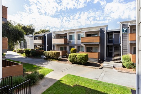 Bidwell Park Fremont