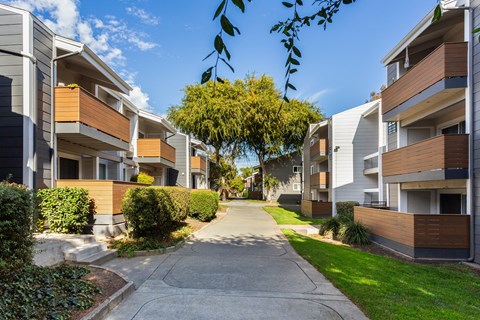 Bidwell Park Fremont