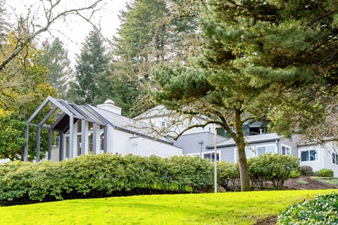 Skyline At Murrayhill