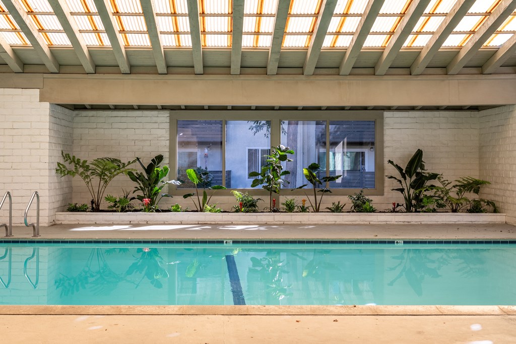 the swimming pool of a hotel with a swimming pool