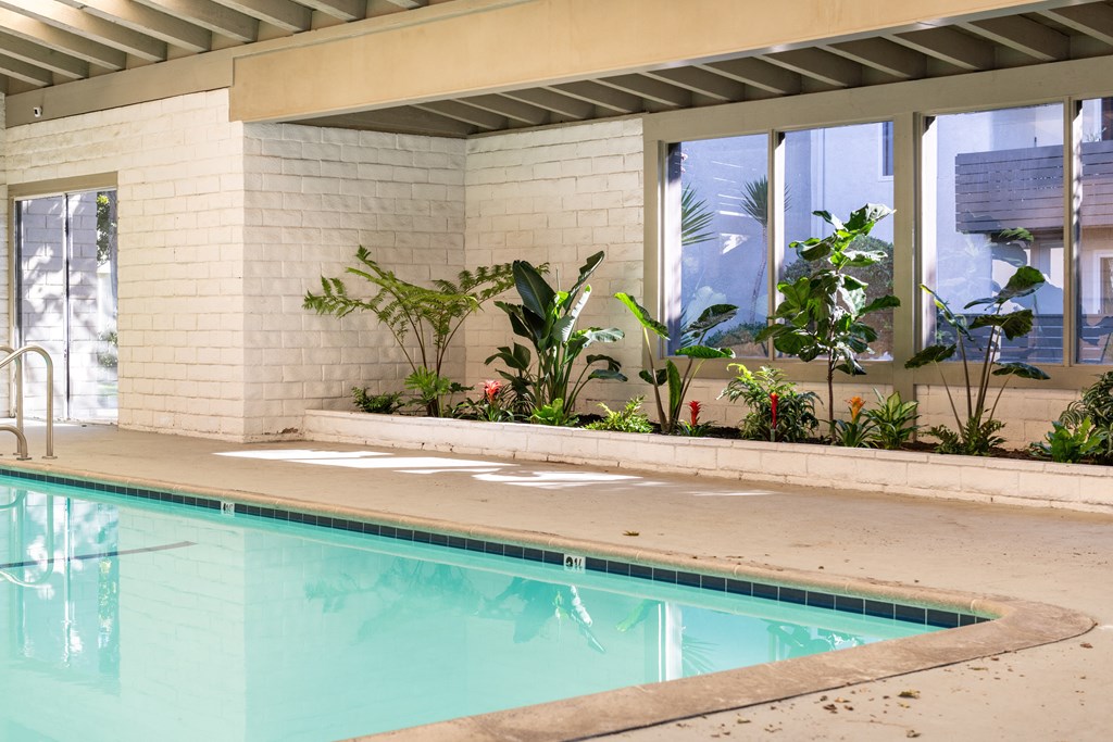 a swimming pool in a building with windows and plants