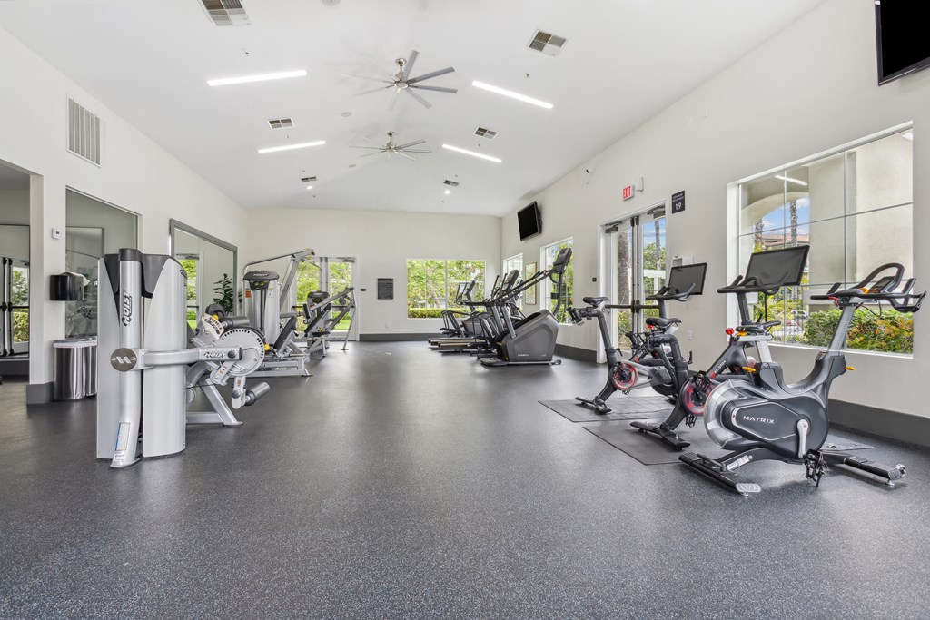 the gym with treadmills and weights at the apartments