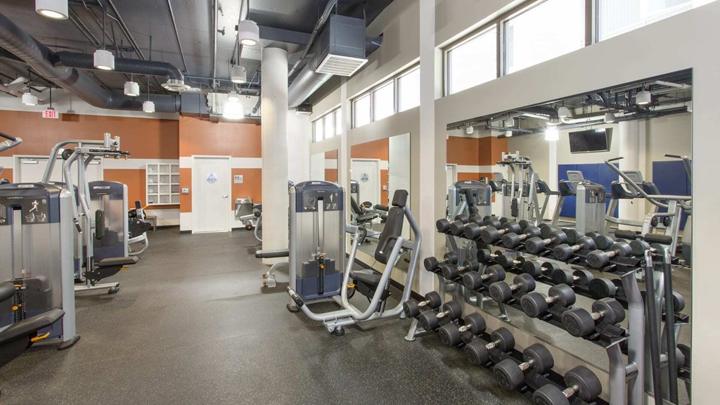 A gym with a variety of equipment including weights and cardio machines.