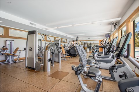 A gym with treadmills, elliptical machines, and other exercise equipment.