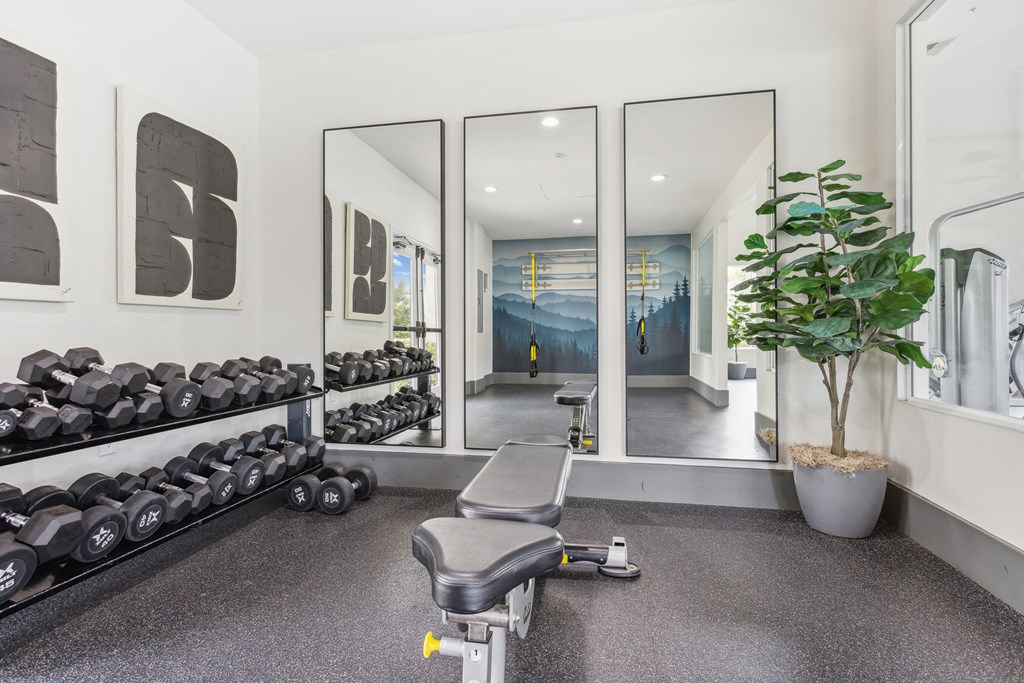 a gym with a bunch of dumbbells and mirrors on the wall