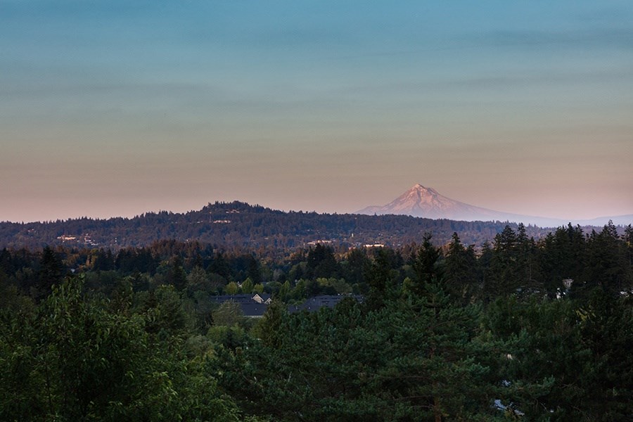 Skyline At Murrayhill