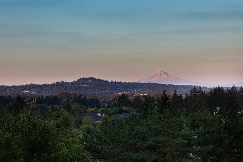 Skyline At Murrayhill