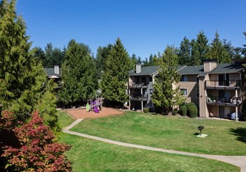 Madison Samammish playground - Photo Gallery 2