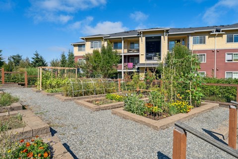 a community garden in front of an apartment building
