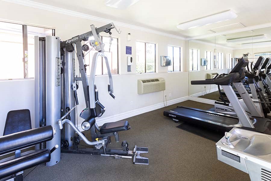 a gym with a lot of exercise equipment in it