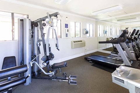 a gym with a lot of exercise equipment in it